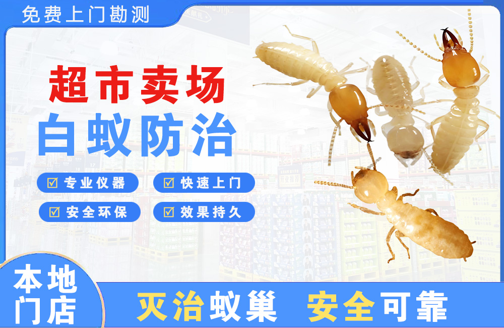 儋州超市卖场白蚁防治