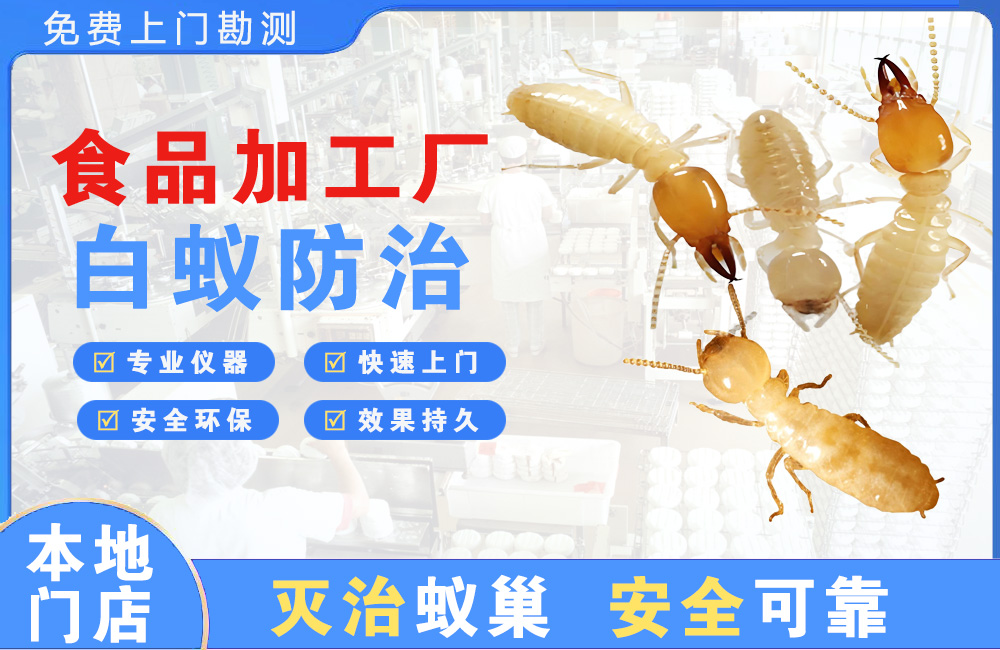 儋州食品加工厂白蚁防治