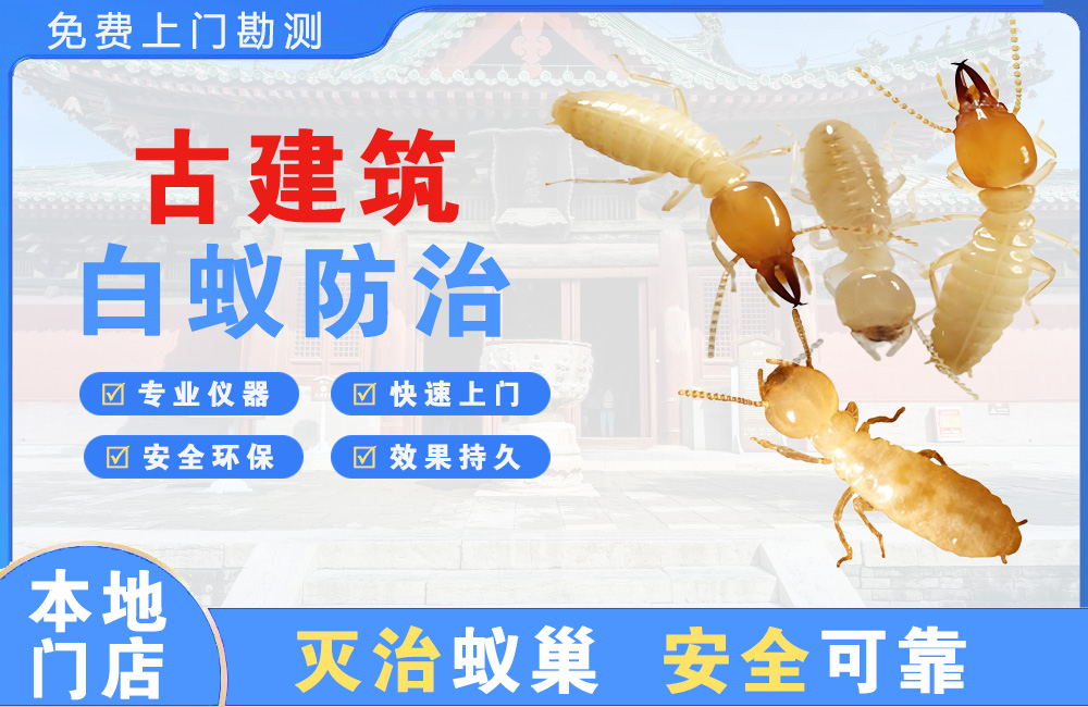 儋州古建筑白蚁防治